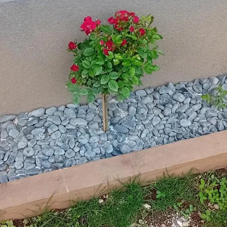 Pansiyon Art With Outdoor Living