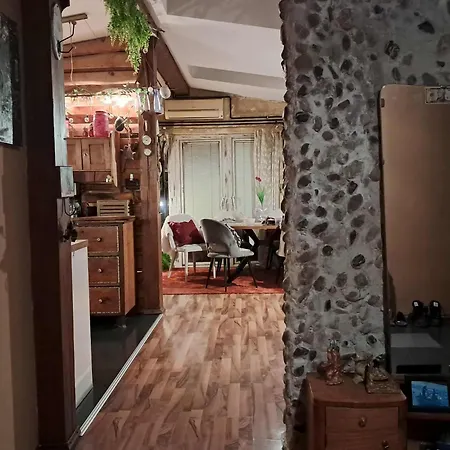 Art In Rose Проживание в семье *