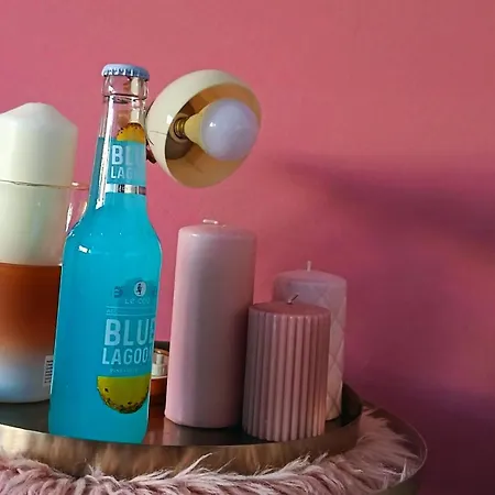 Art In Rose Проживание в семье