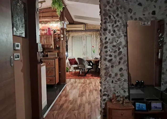 Art In Rose Проживание в семье *