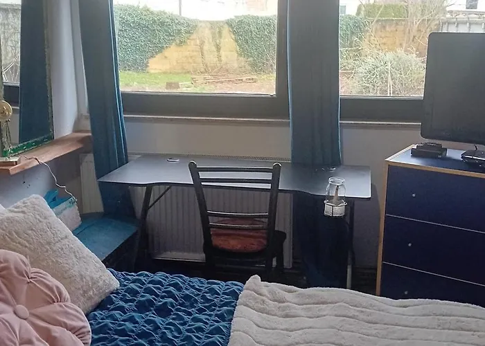 Art In Rose Проживание в семье