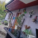 Art In Rose Nastanitev v družini *