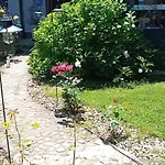 Art In Rose