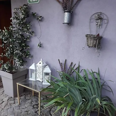 Homestay Art With Outdoor Kitchen Ljubljana