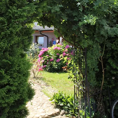 Art In Greeny Rose ليوبليانا
