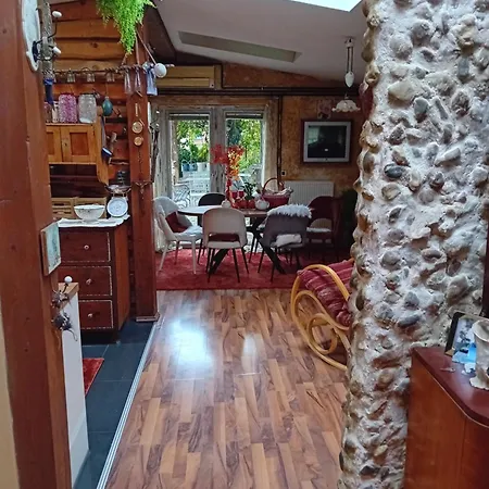 Art With Outdoor Kitchen Homestay Ljubljana