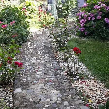 Art In Greeny Rose *
