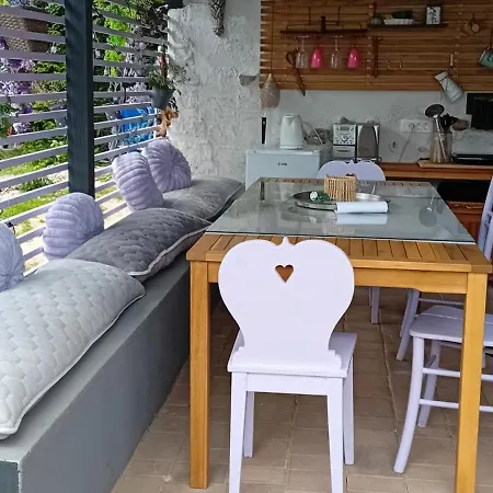 Art With Outdoor Living 홈스테이