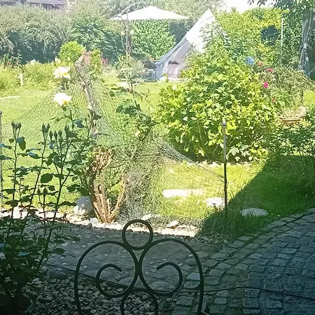 Art In Greeny Rose