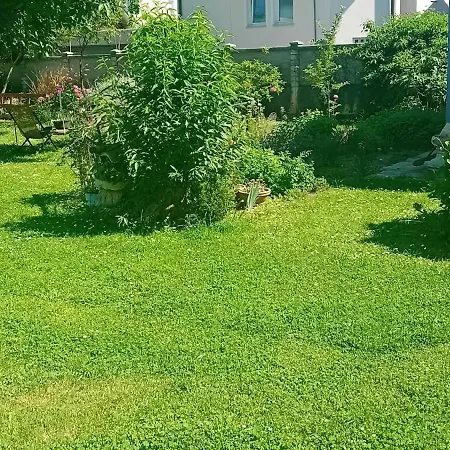 Проживание в семье Art In Rose Любляна