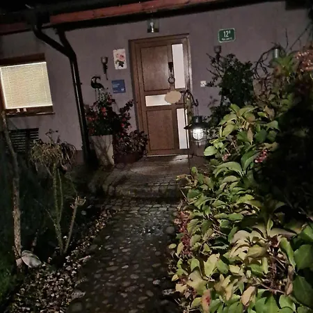 Privat bolig Art In Greeny Rose