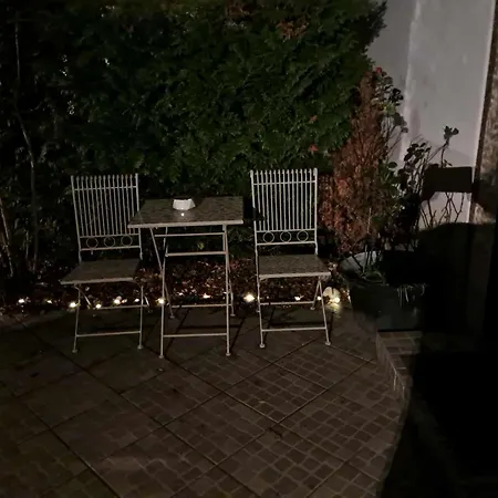 Art In Greeny Rose