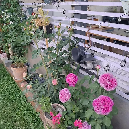 منزل للإقامة Art In Greeny Rose ليوبليانا