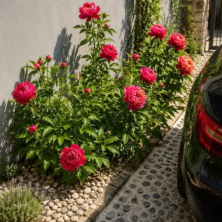 Art In Greeny Rose منزل للإقامة ليوبليانا