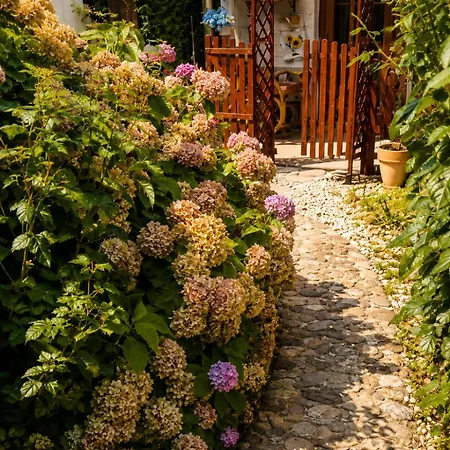 Art In Greeny Rose منزل للإقامة ليوبليانا
