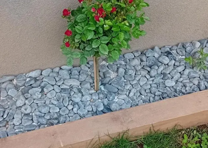 Privatunterkunft Art In Rose