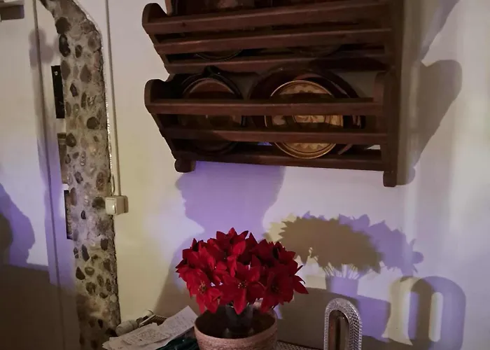 Homestay Art In Rose